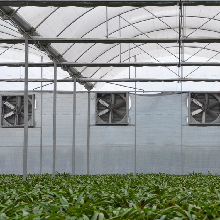 MYXL greenhouse roof exhaust ventilation fan