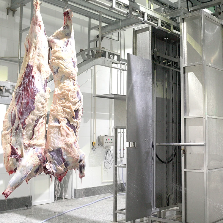 Large Scale Bovine Cattle Abattoir for Beef Processing Plant