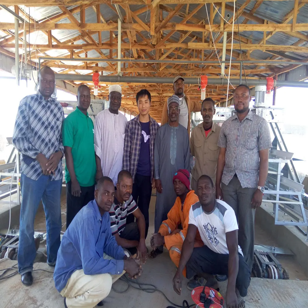 High quality hot sale economic H type chicken cage for layers