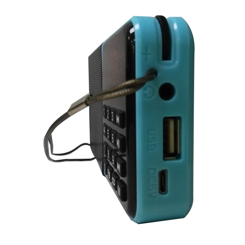 Горячая Распродажа классический дизайн Мини Портативный Usb Встроенная антенна цифровое радио большой цветной дисплей с батареей