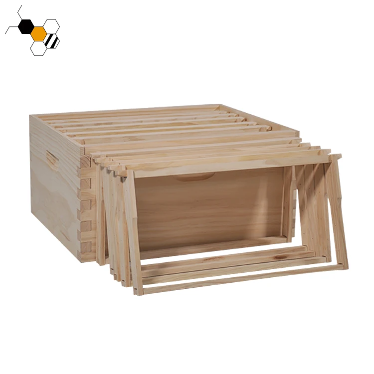 Bee equipment bee frame bee hive frames