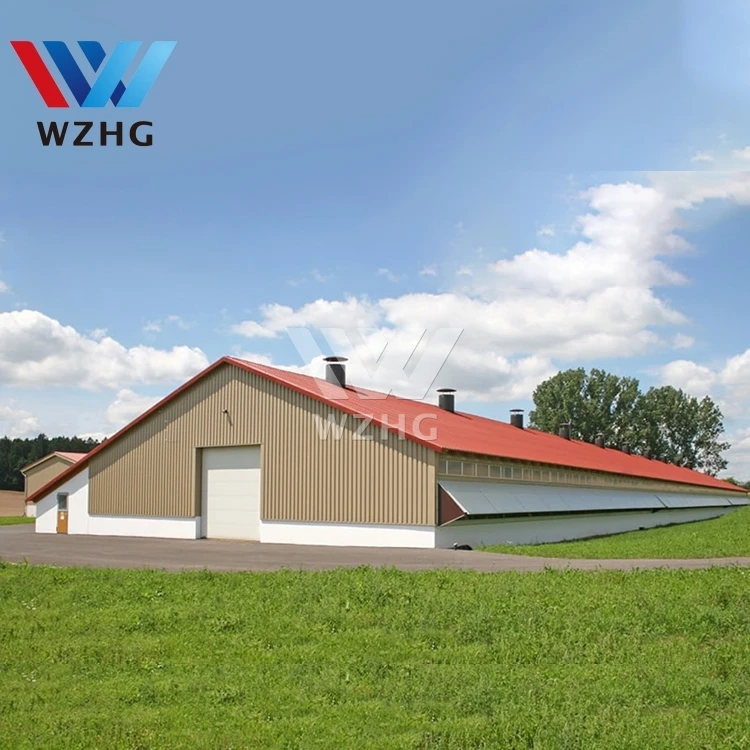 WZHG современный дизайн промышленные сборные стальные конструкции складское здание спроектированное строительство производитель Китай