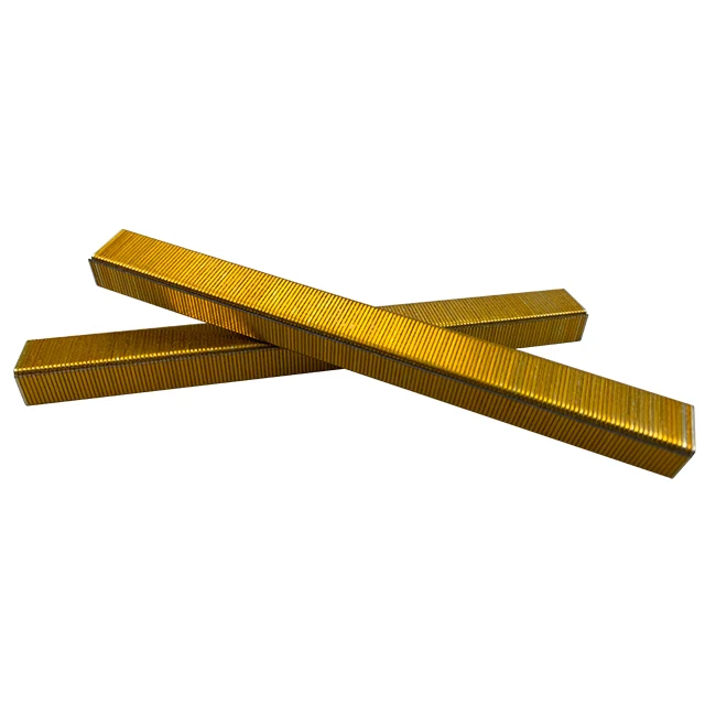 Customized Q195 Iron 10F Series U Type Fasteners Galvanized Wire Nail Decoration Staple Pins For Staple Gun