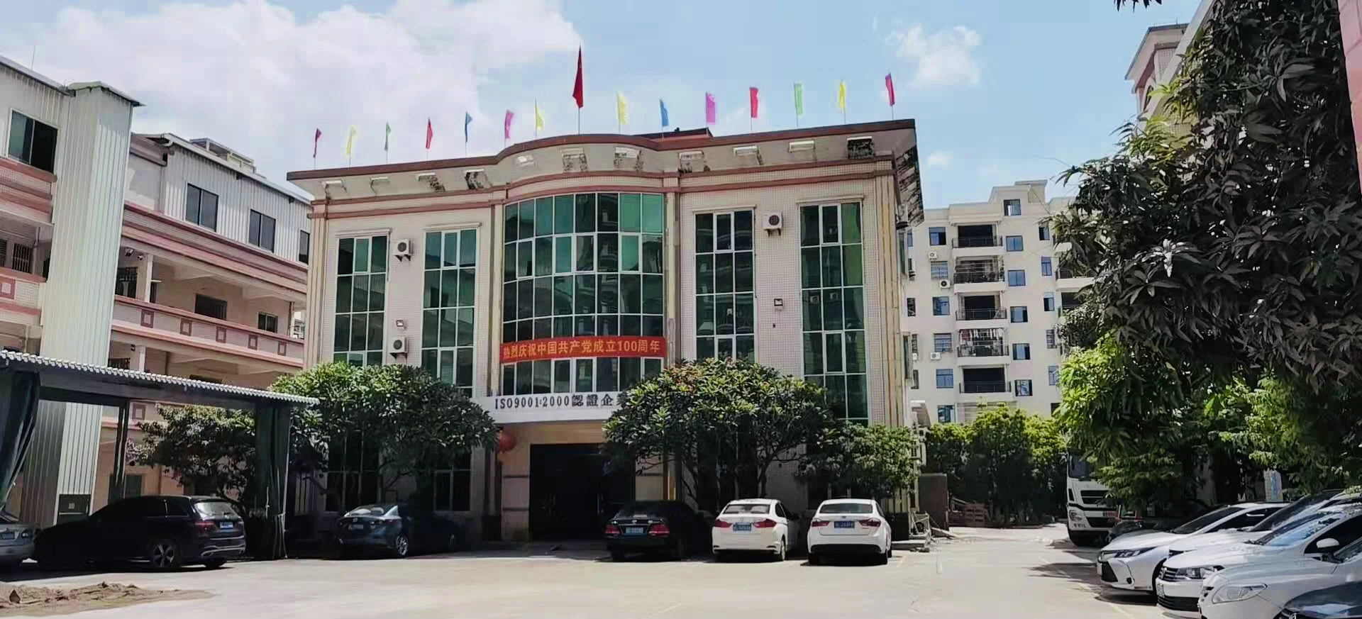 custom hair beauty plastic control comb and brush