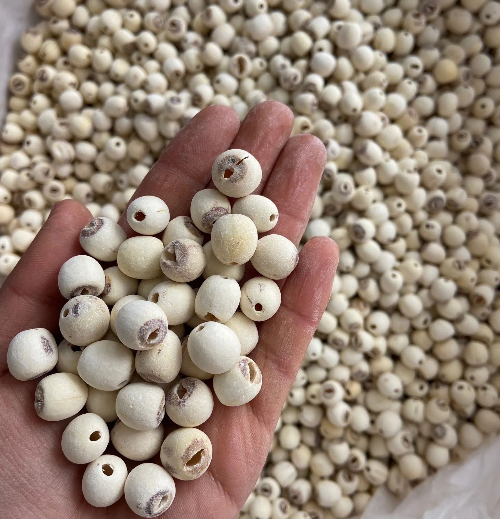 YINING Direct Wholesale Price Lotus Seed for Cooking Lian Zi