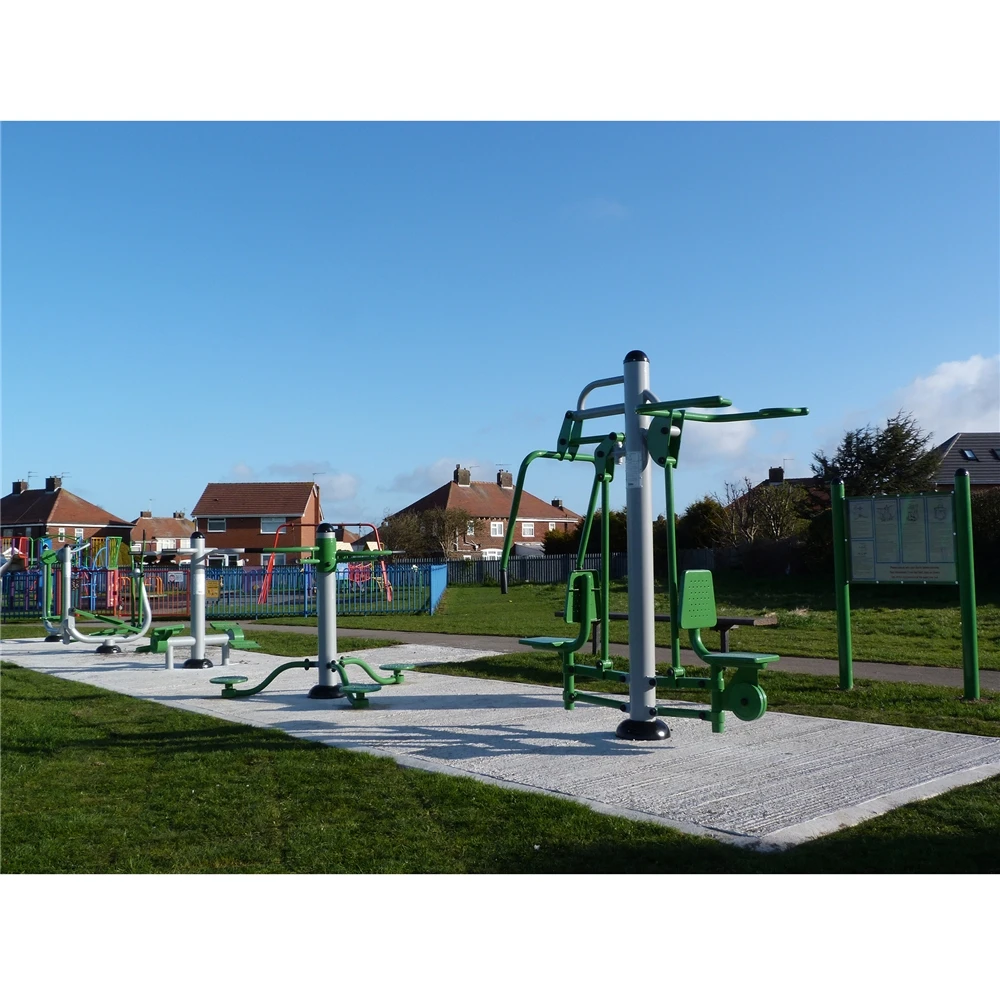 New Arrival Custom design High performance body Handicapped Outdoor Fitness Gym Equipment Machine