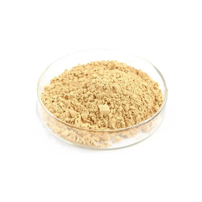 Top quality wholesaler pure organic luo han guo monk fruit sweetener powder