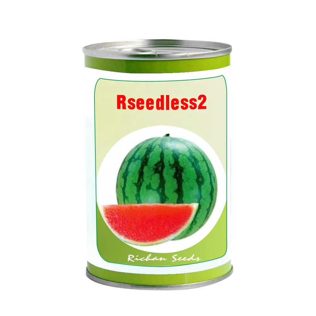 
F1 hybrid watermelon seeds without seeds hot resistance fast growing high suger content round and red flesh vegetable seeds 