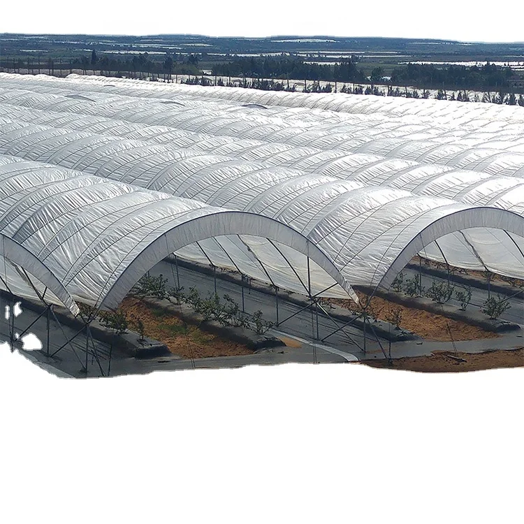 SEEPOEM Low cost mini poly tunnel agriculture green house vegetable high polythene tunnel rain shelter greenhouse for tomato