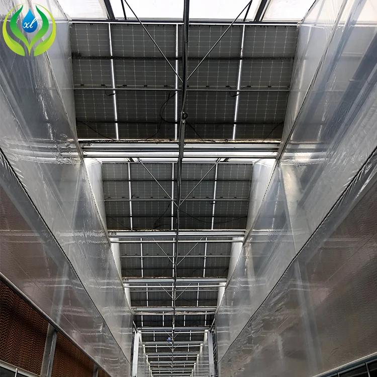 MYXL aquaponics fish farms tanks greenhouse hydroponics aquaponics growing system fish tank for fish and vegetable