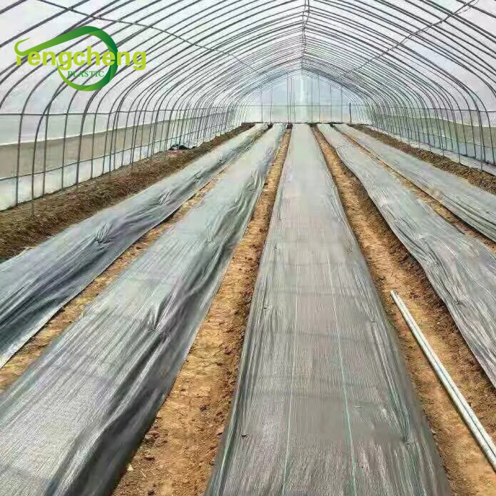 Black PP woven silt fence weedbarrier fabric 3ft x 50ft anti grass agricultural weedcontrol mat garden ground cover weedmat