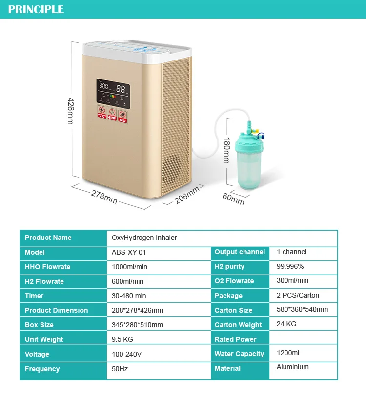SPE PEM Electrolysis Device water electrolyzer 66% Hydrogen 33% Oxygen machine for home use hydrogen oxygen generator