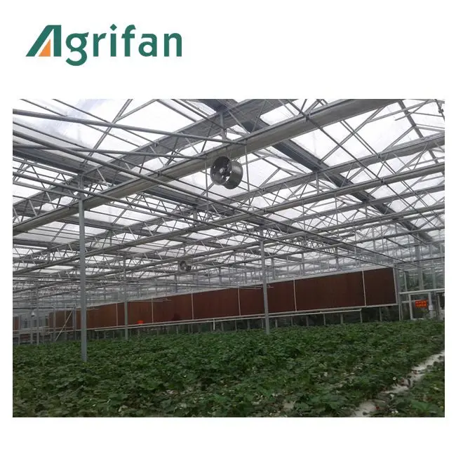 
ZRSL greenhouse farming poultry pad cooling 