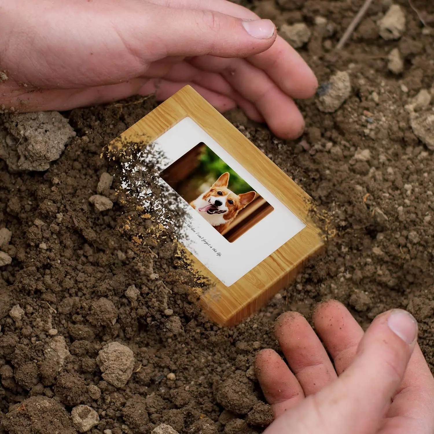 OEM ODM Wholesale Customize Pet Urns Pet Caskets dog Urns Coffins Caskets Adult Bamboo Sustainable Wooden Funeral Cremation Urns