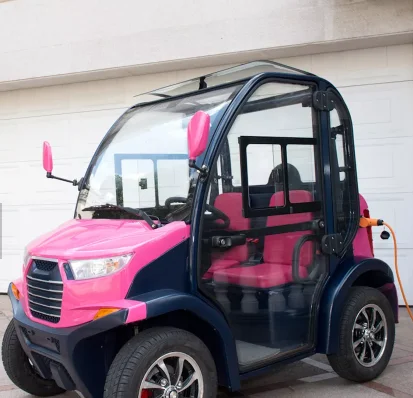 mini car 2 seats with high quality electric kit closed mini electric car