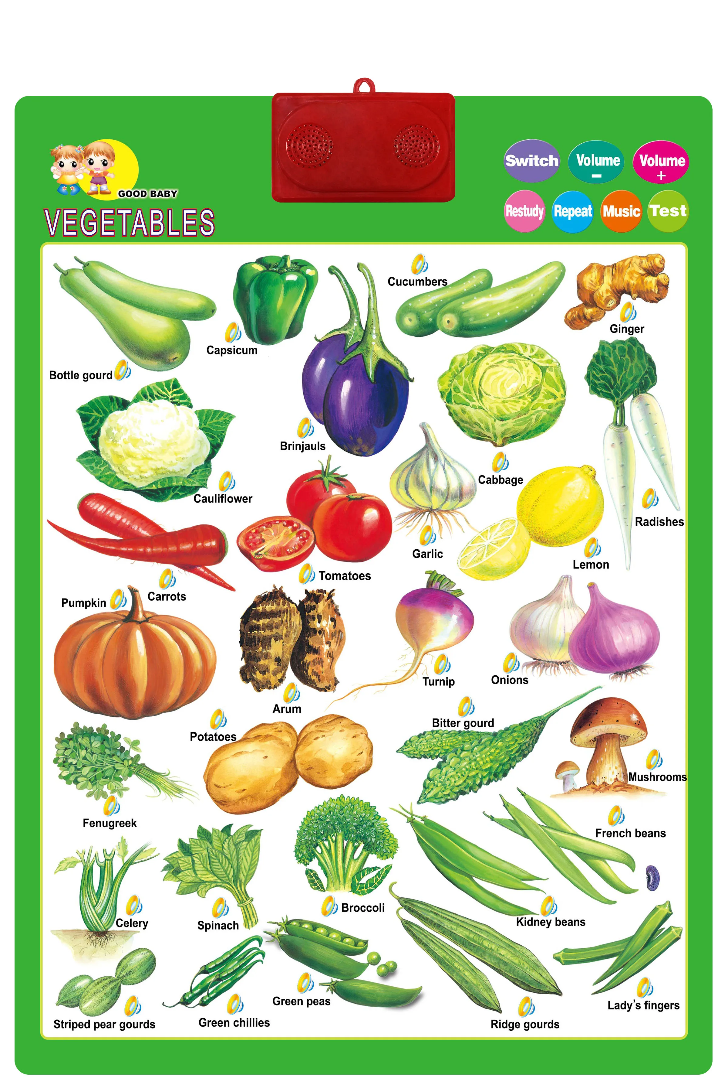 Educational kids learning charts kids toy talking wall chart