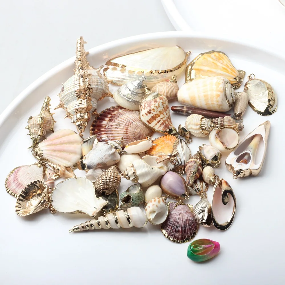 Hot Natural Sea Cowrie Seashells Charm Wrapped Conch Shells Plated Pendants Summer Ocean Sea Charm for Jewelry Making