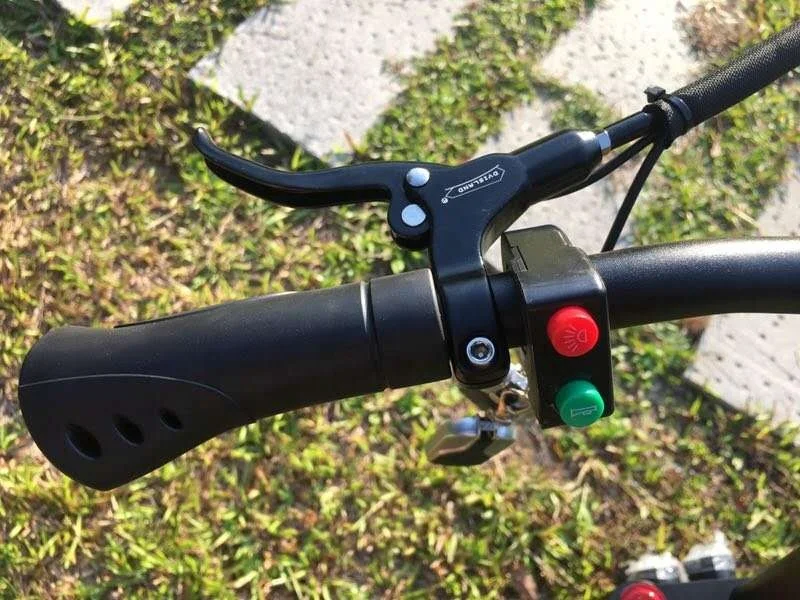 
fast speed electric scooter with dual motors 