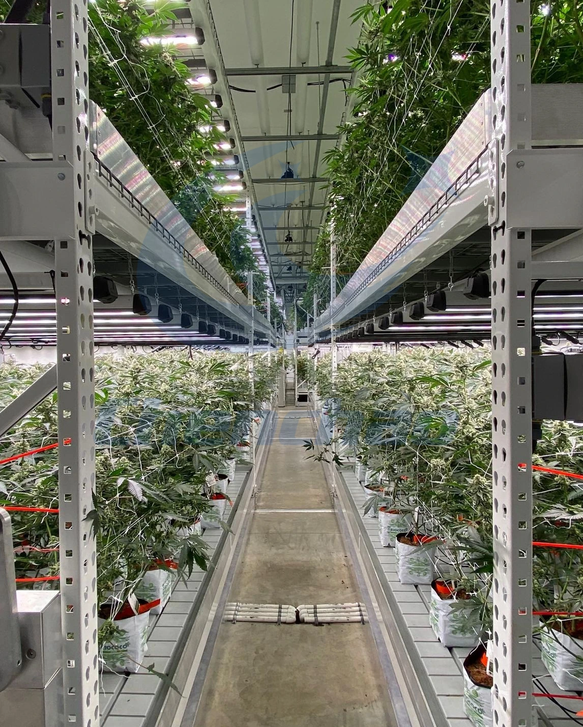 Большая Акция! 2023 распродажа тепличные Гидропонные скамейки для выращивания семян столы растений