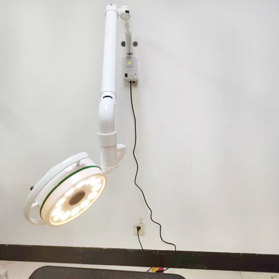 Wall-mounted medical examination lamp and surgical lamp for veterinary use in pet hospitals