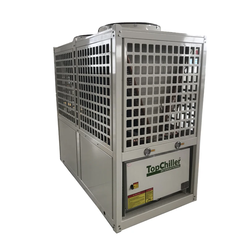 Remote Operation R410A Refrigerant Two Scroll Compressors Air Cooler 20 TON 60kw Hydroponic Chiller