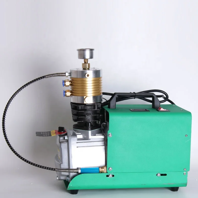 300Bar Portable 12V 220v Electric high pressure Mini Pcp Air Compressor 4500psi