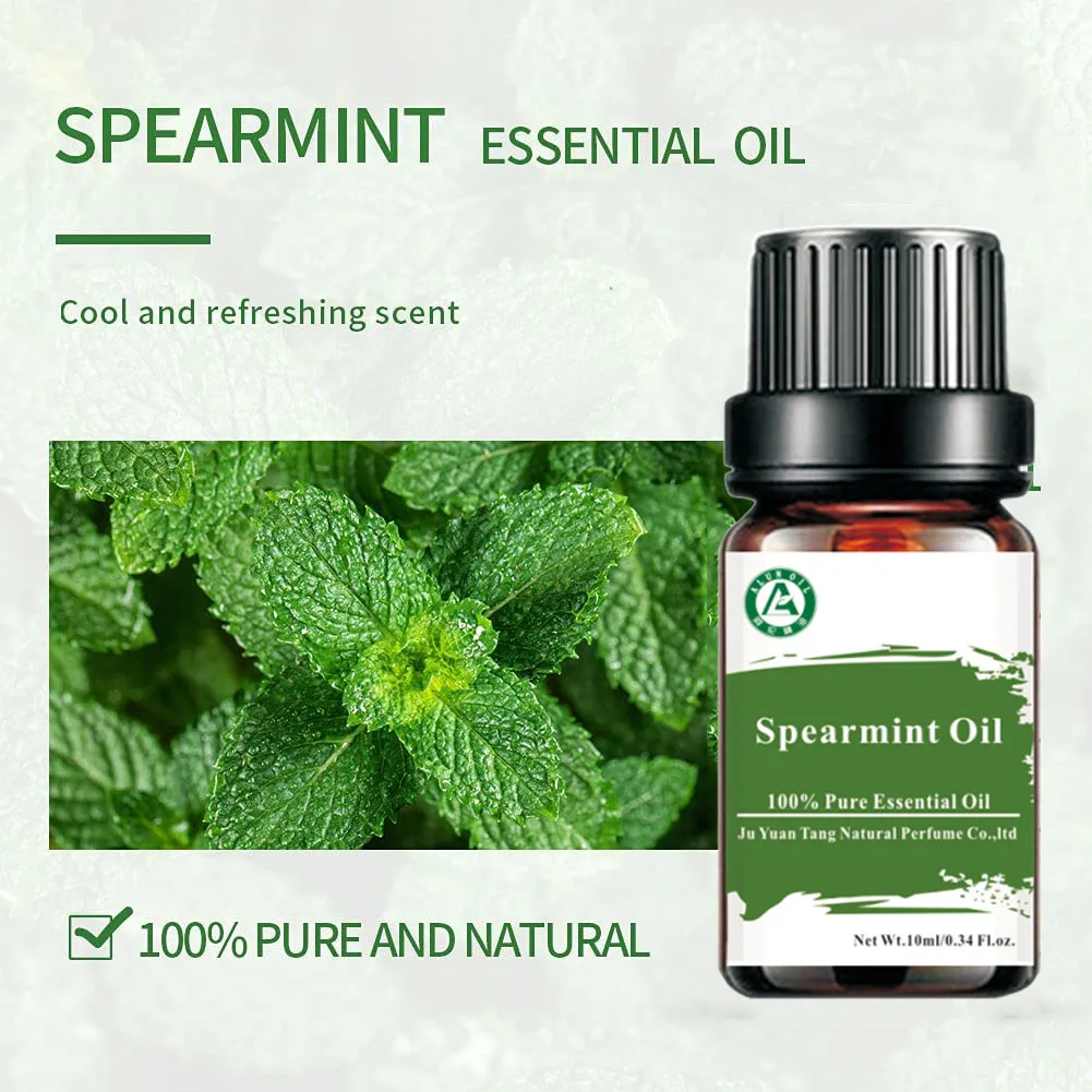 Spearmint Essential Oil  Pure Chinese Medicine Herbal Extract Wholesale Bulk Spearmint Oil