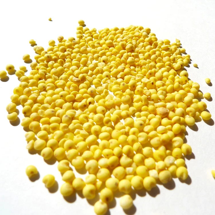 Хорошее качество, желтое Просо для каши, небольшой минимальный заказ