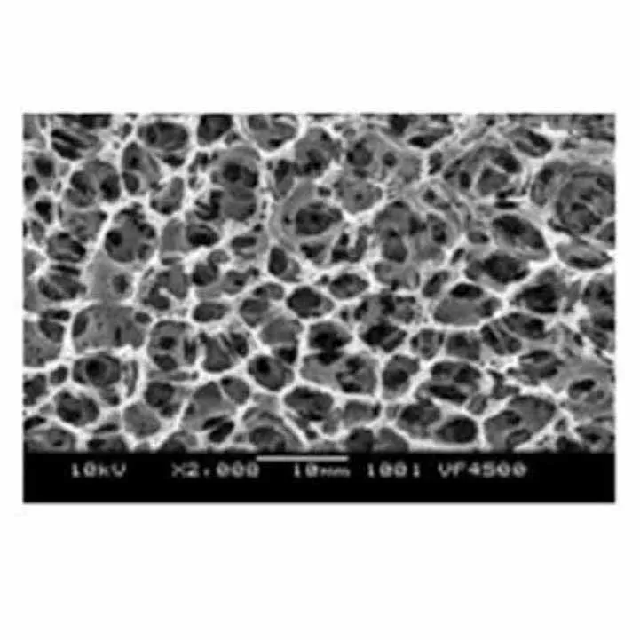 Low Protein Adsorption Membrane Manufacturer 0.2um 0.4um 1um Medical PVDF Membrane