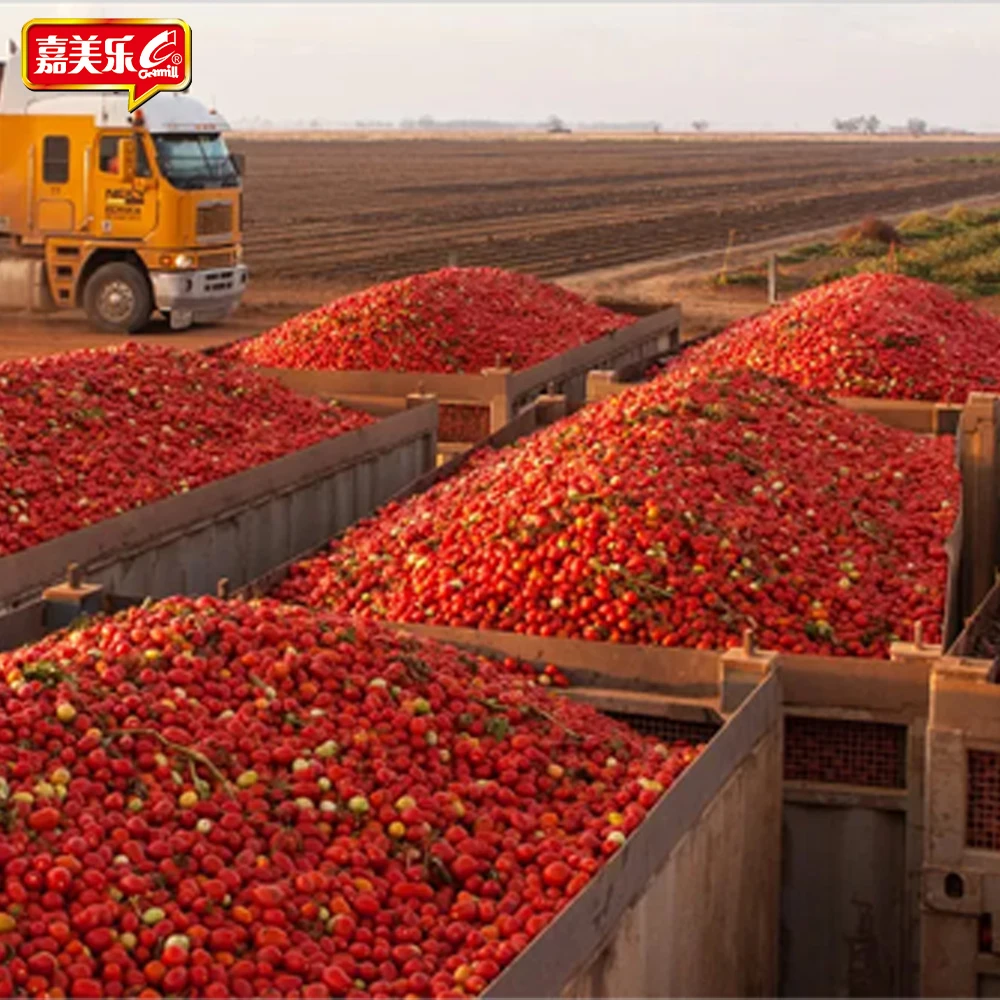 Hot wholesale high quality price delicious 510g sweet sour sauce