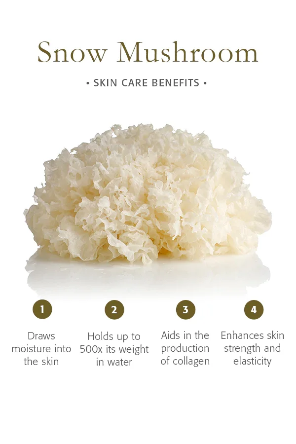 OEM Private label Snow Mushroom Skin Care Set with Birch Water Hydrating Moisturizing Brightening Skin Eye Cream Reishi Masque