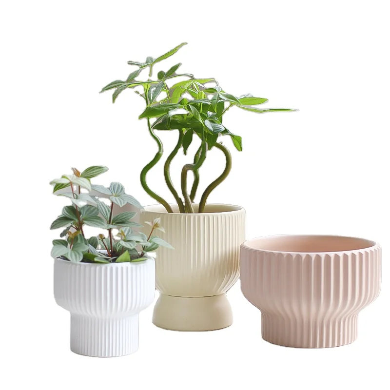 Maceta Custom Wholesale Manufacturer Decor Glazed White Indoor Ceramic Cactus Orchid Bonsai Succulent Plant Flower Pot & Planter