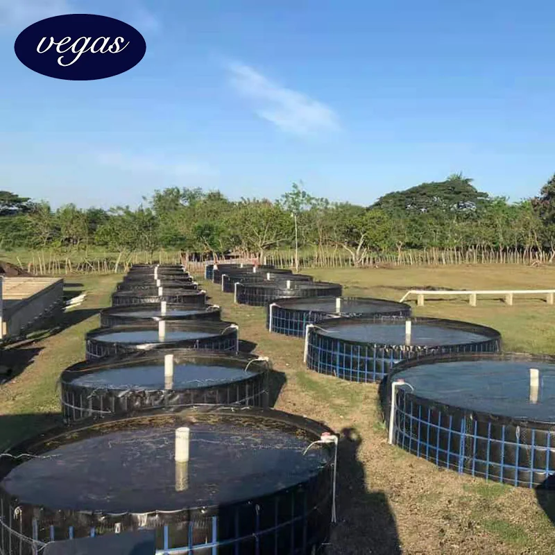 High Quality 1.0mm 2.0mm Water Waterproof Membrane  Fish tank dam pond liner price HDPE Geomembrane