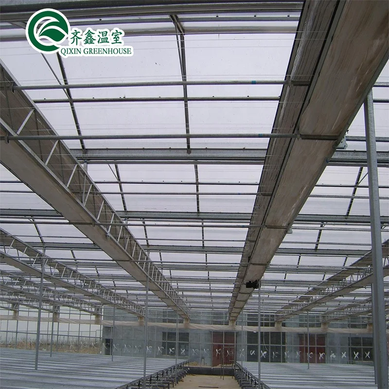 
Good pervious to light Greenhouse agricultural greenhouse 