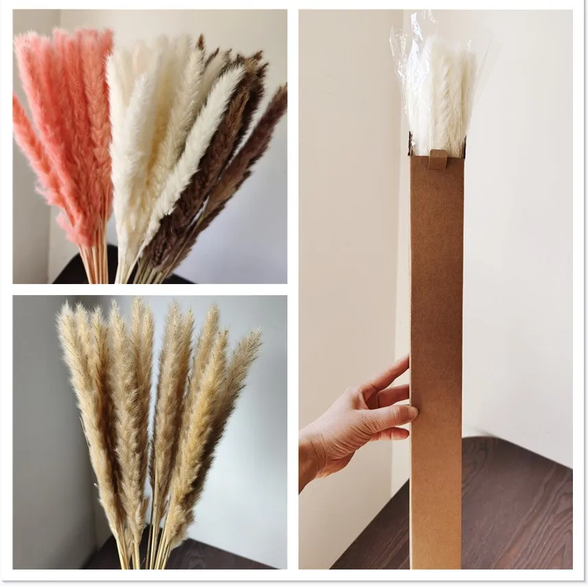 Cheap Price Real Dried Pampass Long Lasting Small Pampas Grass