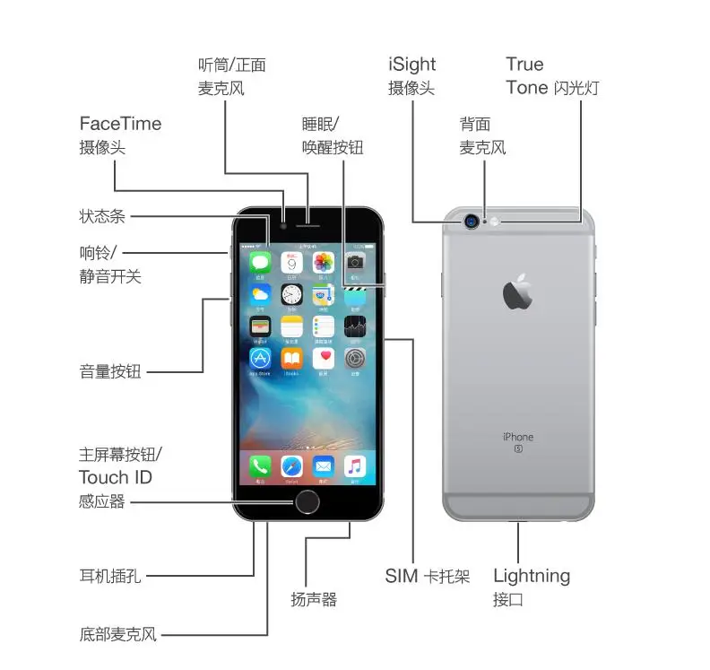 6s.jpg