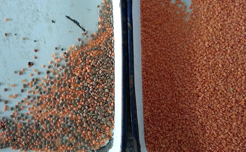 Wheat Colour Sorter for Grain Color Cleaning or Separation machine mini