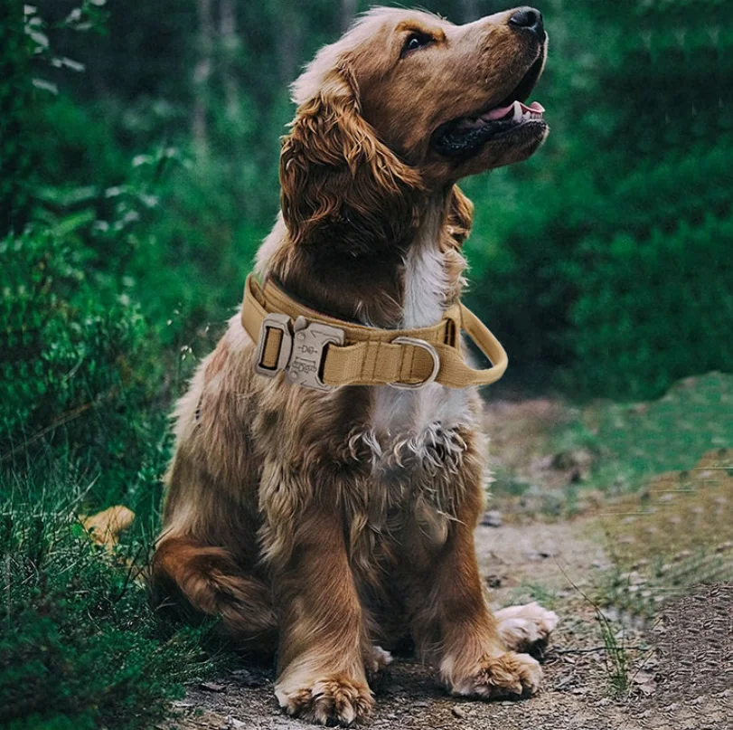 Wholesale OEM ODM Adjustable Nylon Tactical Thick Collar with Handle and Heavy Metal Buckle Tactical Dog Collar Harness