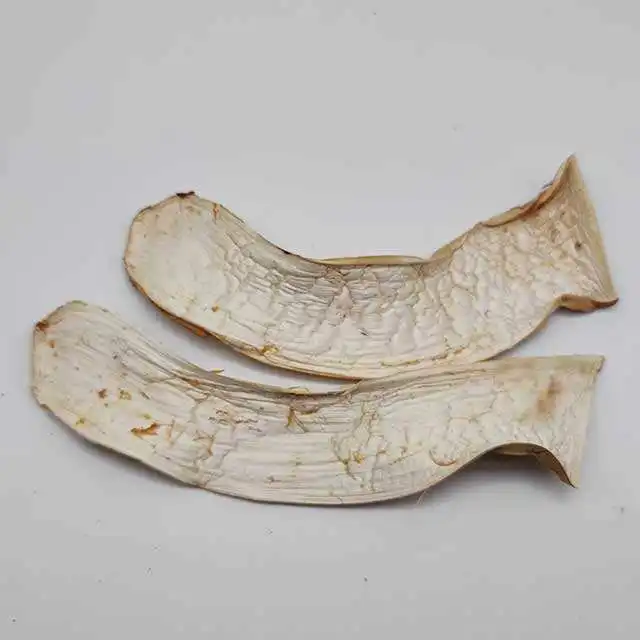 Китай высококачественный сушеный гриб Matsutake низкая цена дикий трихолома matsutake
