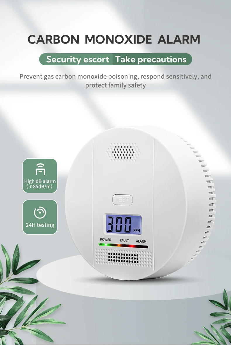 OEM Manufacturing Carbon Monoxide Device Carbon Monoxide Sensors Detector EN50291