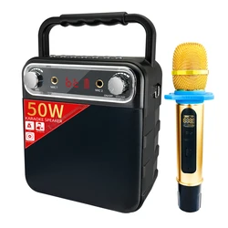 Dewant L-1228 50W professional sound equipment/amplifiers/speakers