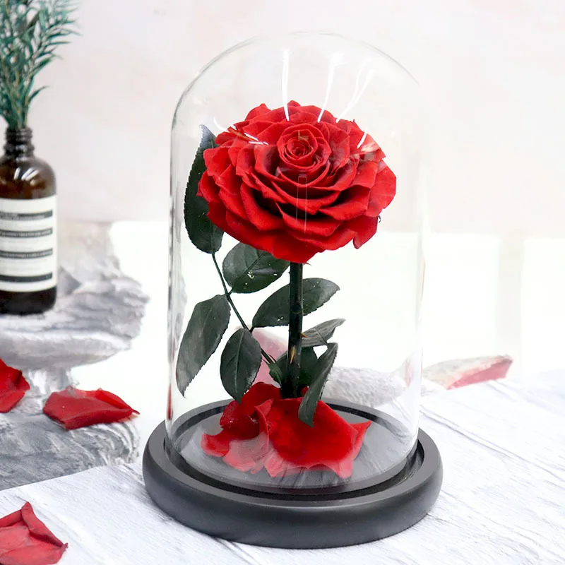 Gift Preserved Flower Eternal Rose in Box Valentine Wholesale Luxury Everlasting Stabilized Preserved Rose in Glass Dome