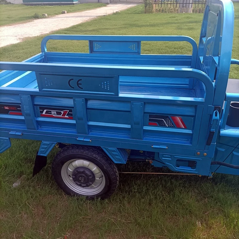 Лидер продаж в Китае трехколесный мотоцикл 1000 Вт качество лучший взрослый электрический грузовой велосипед