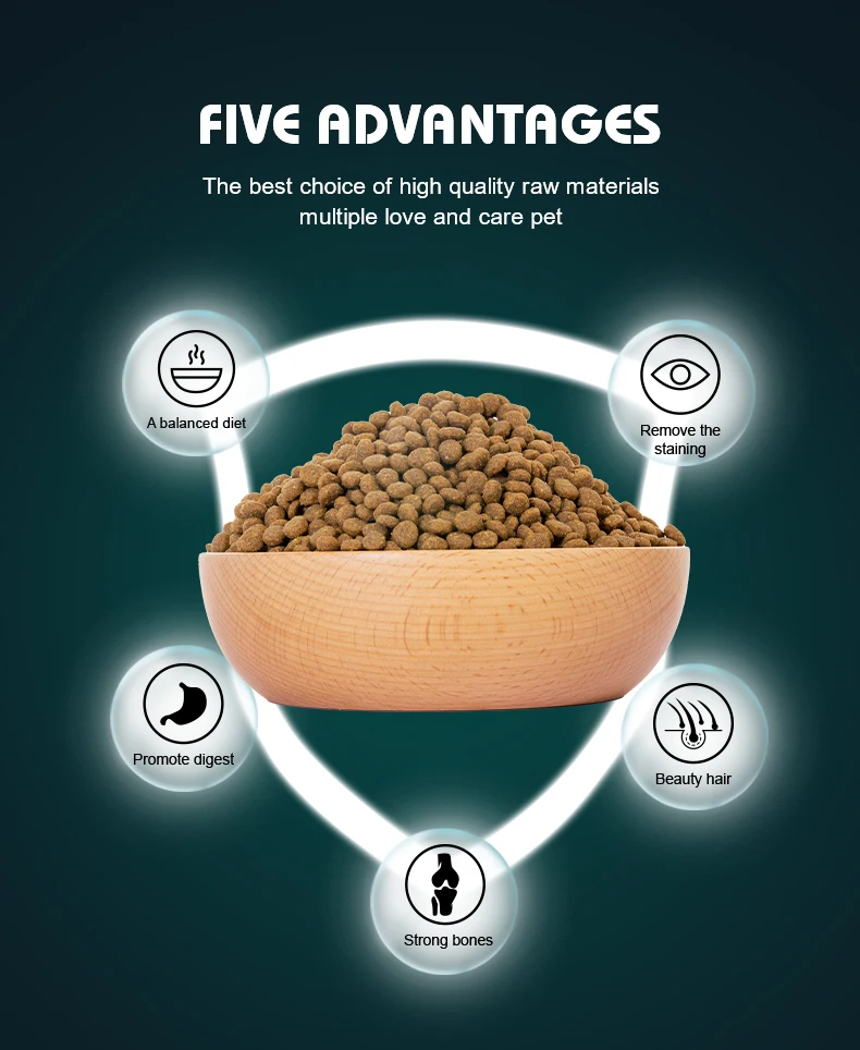 OEM ODM китайская низкая цена корм для домашних животных различные ароматы разные формы 18% содержание белка взрослых собак сухой