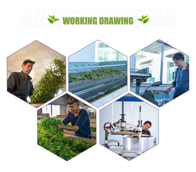 High Quality Organic Chunmee Green Tea Slimming loss weight Weight Loss Supplier Packaged in Bag Box Bulk Bottle New Chunmee