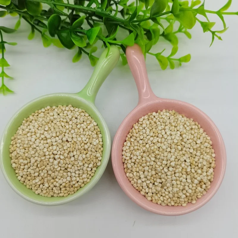 China Hot sale premium conventional dried white Quinoa Gluten-free  Organic white Quinoa