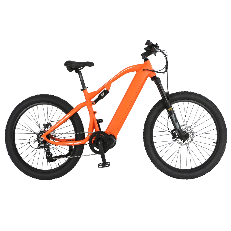 best seller of ebike conversion kit 26 inch 750w R11 watts ebike dirtbike mid drive ebike 750w