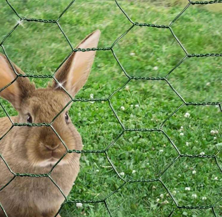 Hexagonal shape iron wire mesh fence metal galvanized woven reverse twist chicken fences net cage