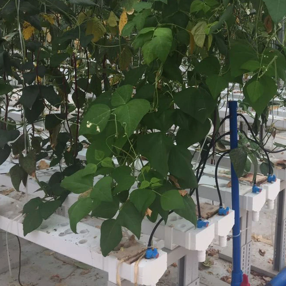 Производители промышленных гидропонных nft Систем ПВХ канальная система