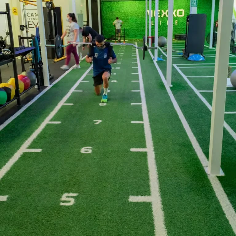 Dorelom Fitness Commercial Gym Use Floor Black Green Blue Custom Flooring Grass Turf Artificial Turf Grass Mat